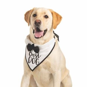 Dog collar/bandana - Best Dog Wedding